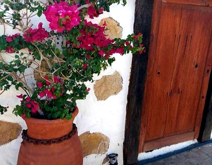 Casa Rural Alessia With Jacuzzi ,Garden & Swimming Pool Санта Крус де Тенерифе Екстериор снимка